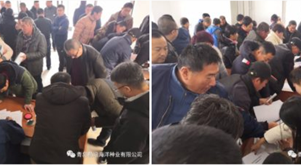 前沿三倍体牡蛎技术热涌冬季渔乡