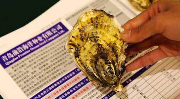 前沿海洋三倍体牡蛎助力中国牡蛎高峰论坛