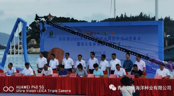 青岛前沿三倍体牡蛎助力诏安首届牡蛎丰收节