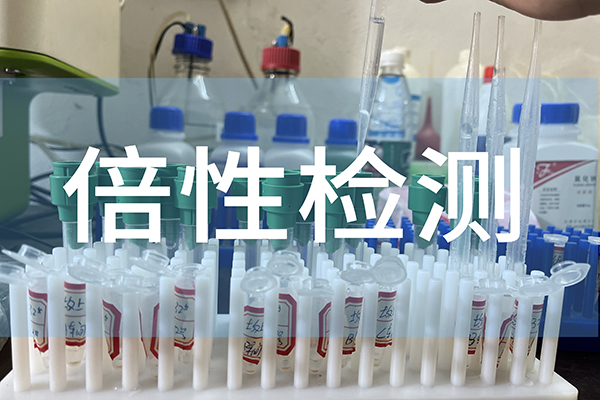 保纯|三倍体牡蛎苗种生产过“三关”