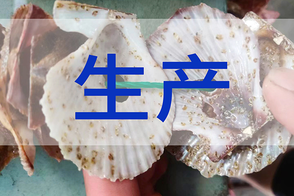 最新速递：前沿三倍体苗种生产顺利进行中