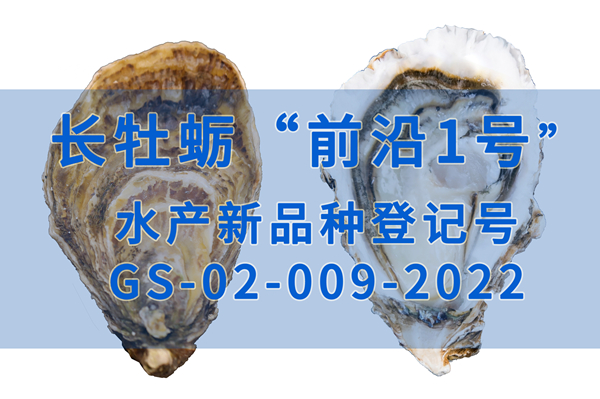 长牡蛎“前沿1号”正式获批国审水产新品种