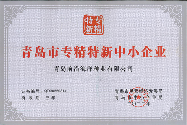 前沿公司获评青岛市“专精特新”企业