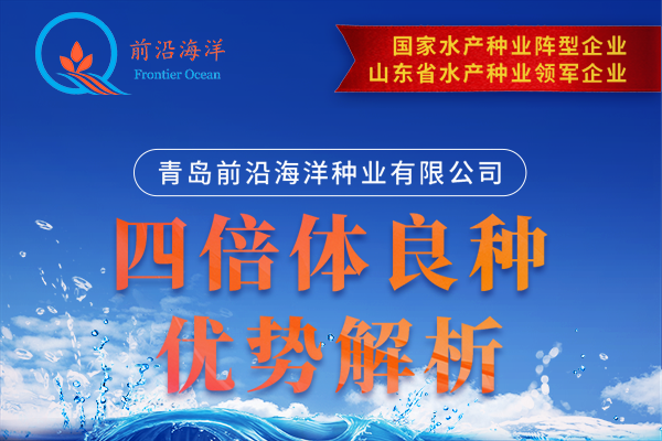 前沿公司四倍体良种优势解析