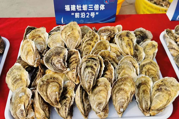 福建牡蛎“前沿 2 号”通过现场验收