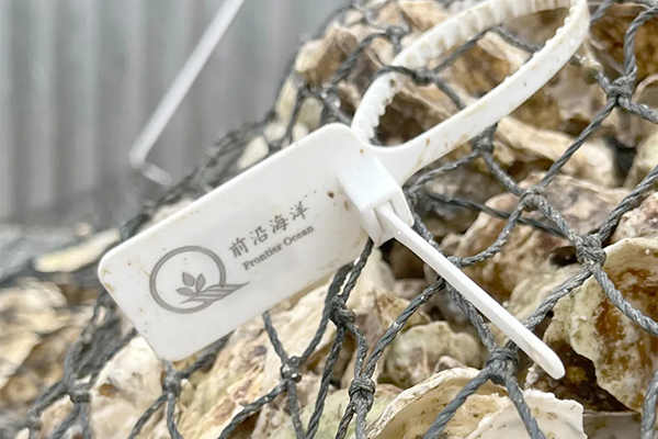 前沿三倍体苗“赋码挂牌”供应