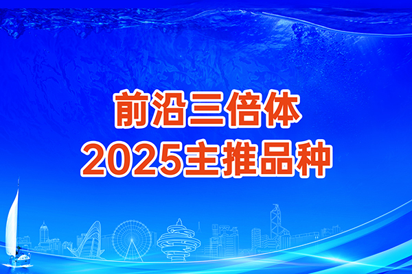 前沿三倍体2025年度主推品种