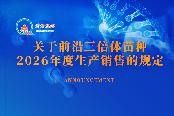 前沿苗种销售公告